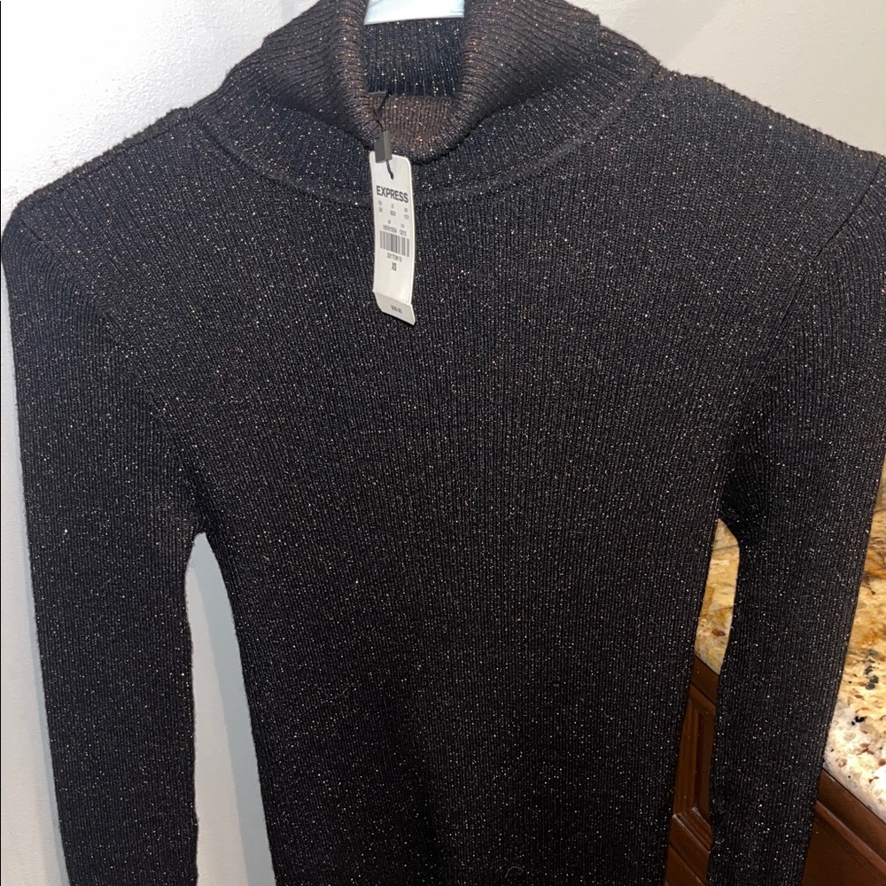 NWT Express sparkly sweater